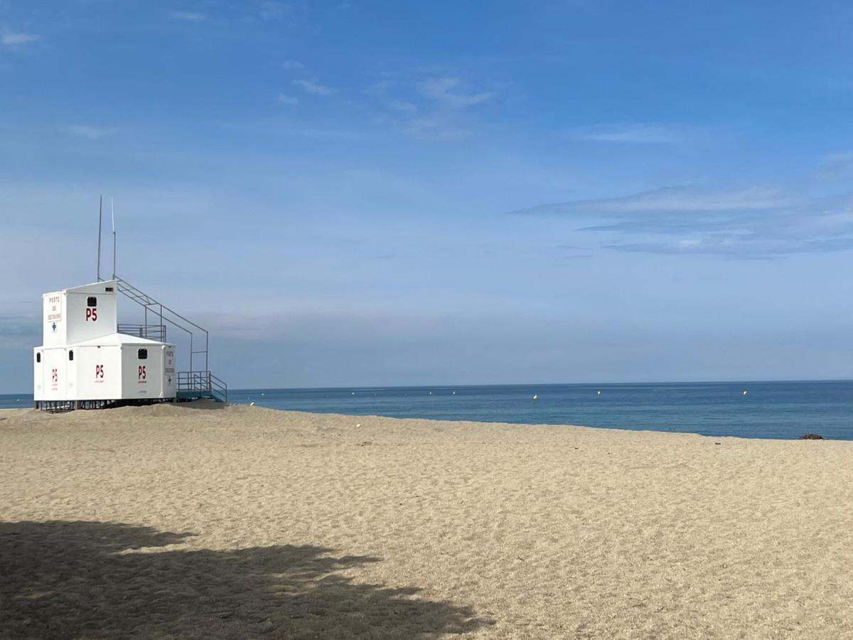 Grand F3 Vue Mer Centre Plage Proche Commerces Plage dʼArgelès Esterno foto
