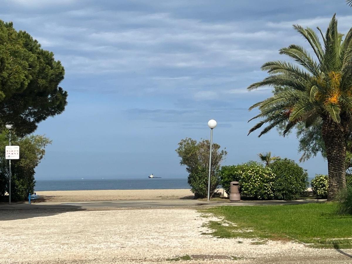 Grand F3 Vue Mer Centre Plage Proche Commerces Plage dʼArgelès Esterno foto